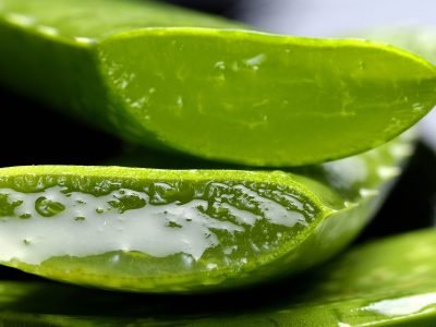 aloe, aloe vera, life, health, plant, aloe vera, aloe vera, aloe vera, aloe vera, nature, aloe vera